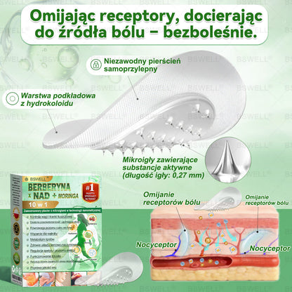🍀BSWELL® Nano mikroigłowy plaster wyszczuplający (Raz dziennie, efekty już po 28 dniach ✅ Wspiera odchudzanie, serce, cukrzycę, sen, jelita, stawy i więcej.